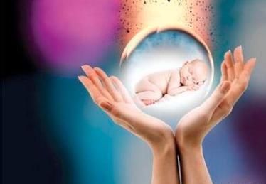 专家